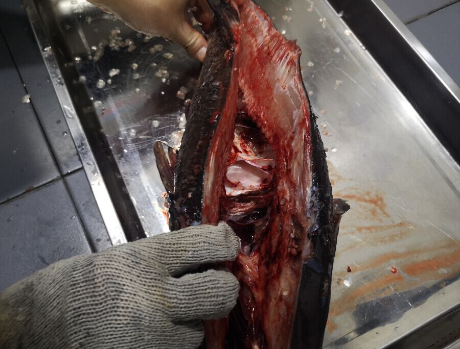 5d9e9d9089ce7.jpg 5d9e9d9089ce7.jpg