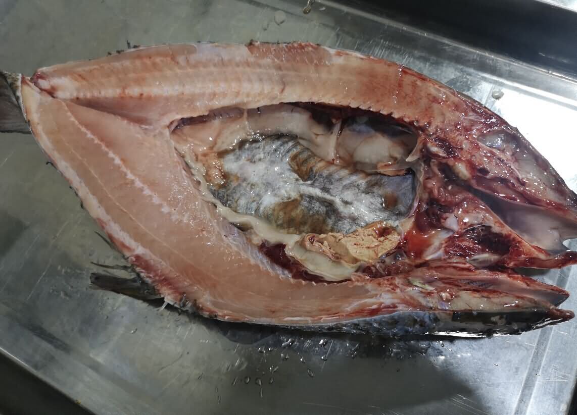 5da3dd6c7bcba.jpg 5da3dd6c7bcba.jpg