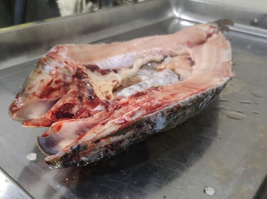 5da3dd6ccd897.jpg 5da3dd6ccd897.jpg