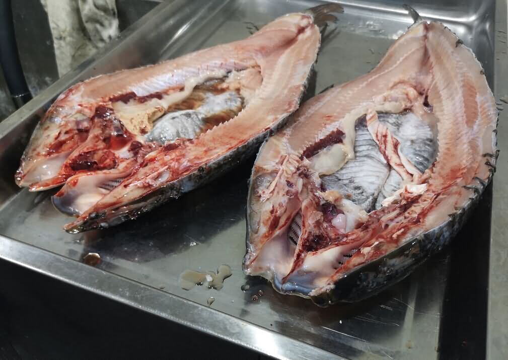 5da3dd6d71620.jpg 5da3dd6d71620.jpg