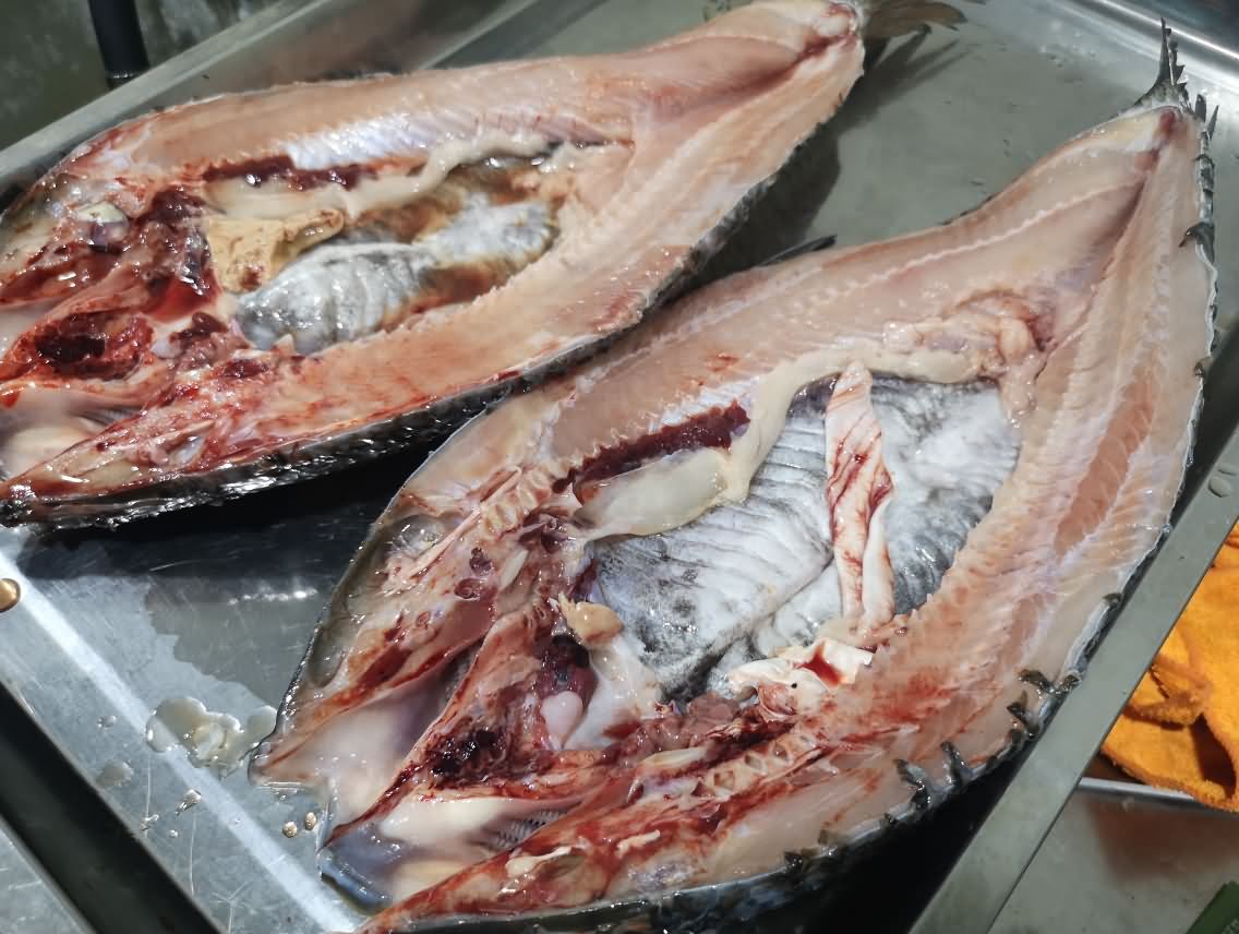 5da3dd6db7c9b.jpg 5da3dd6db7c9b.jpg