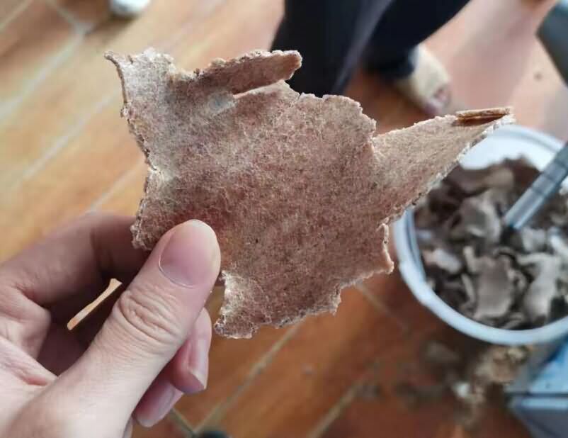 5da676d905eb8.jpg 5da676d905eb8.jpg