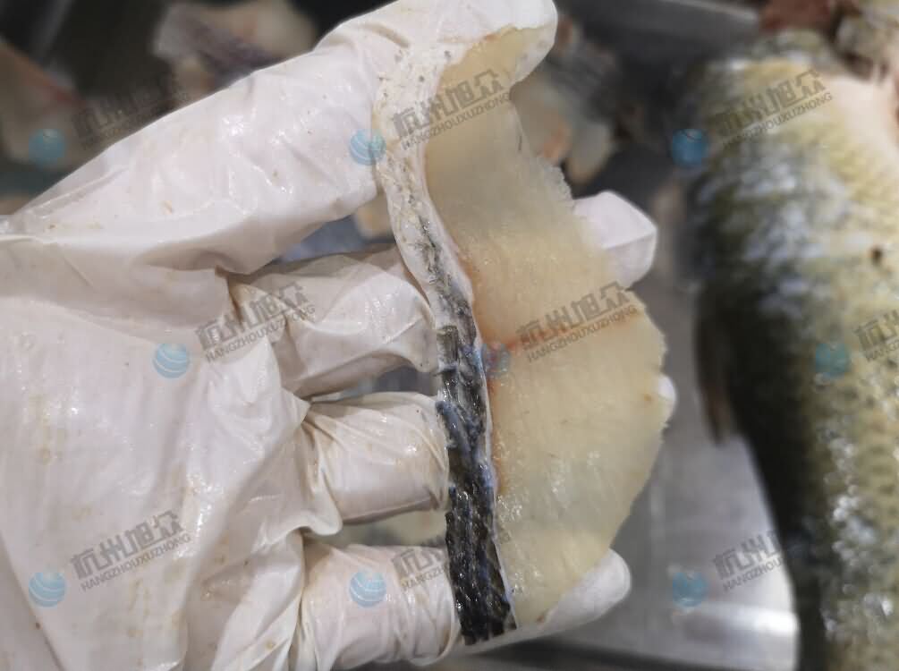 5db115be452a1.jpg 5db115be452a1.jpg