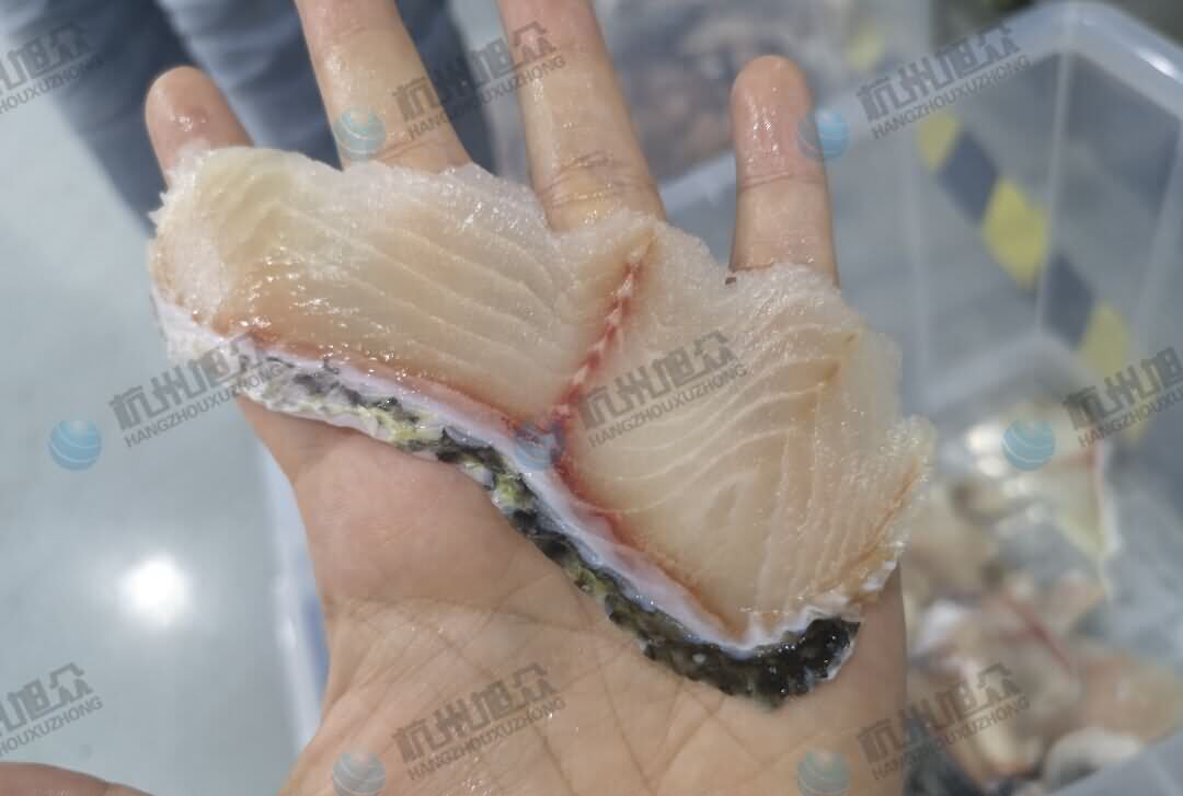 5db39ddf71670.jpg 5db39ddf71670.jpg